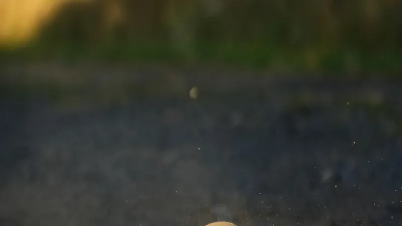 Le donne nella pétanque: come sta cambiando lo sport